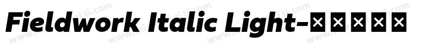 Fieldwork Italic Light字体转换